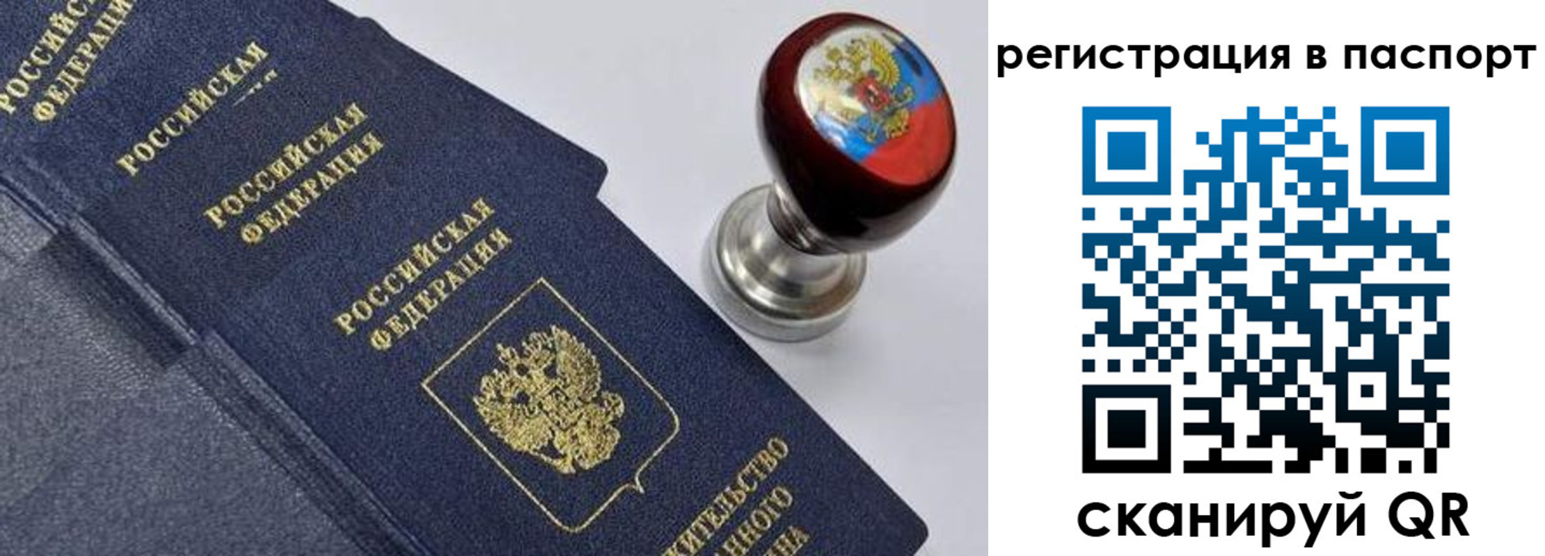 прописка поиск в Ясногорске
